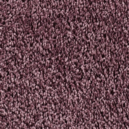 Frisé - Manduro - 025